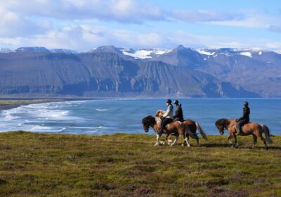 Why Horse Riding Is One of the Best Outdoor Activities in Georgia