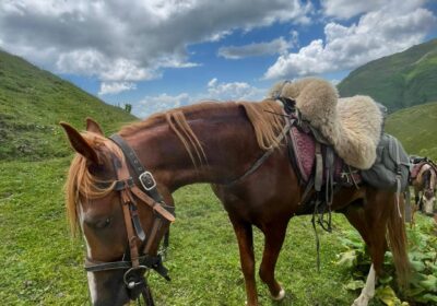 What to Wear for a Horse Riding Tour