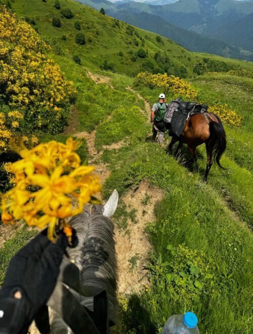 Ikvlivi Mountain Tour