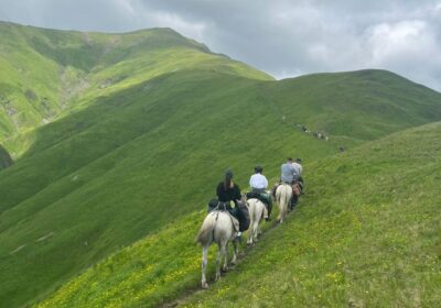 What to Expect on Your First Horse Riding Tour